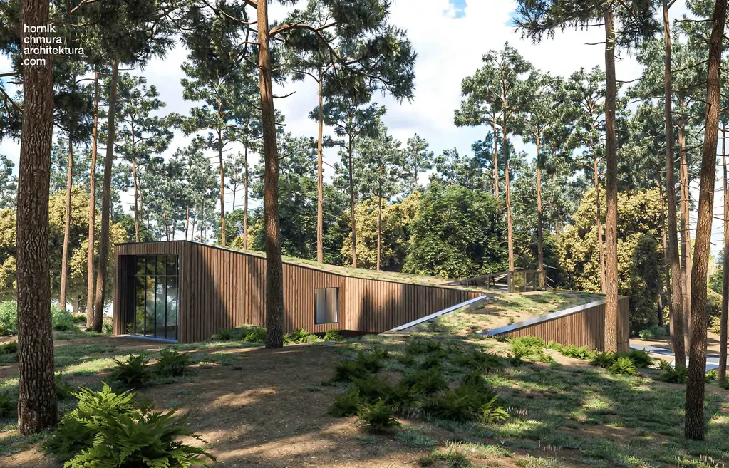 Wizualizacja budynku częściowo wpisanego w skarpę, z zielonym dachem i dużym przeszkleniem w bocznej elewacji, otoczonego lasem sosnowym.