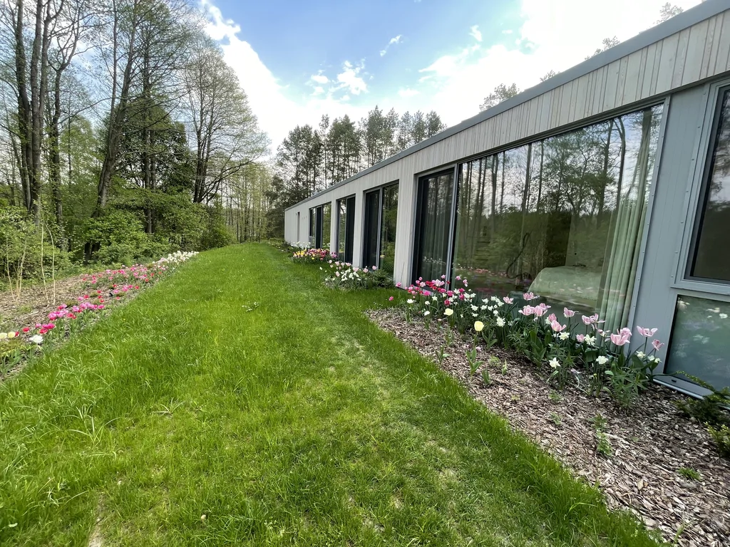 Tylna część domu z dużymi przeszkleniami i rabatami tulipanów